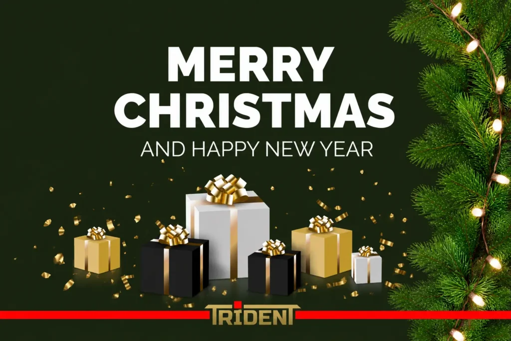 Merry Christmas and Happy New Year